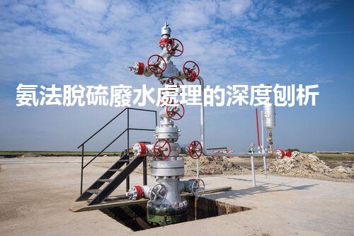 氨法脫硫廢水處理的深度刨析與以后展望？